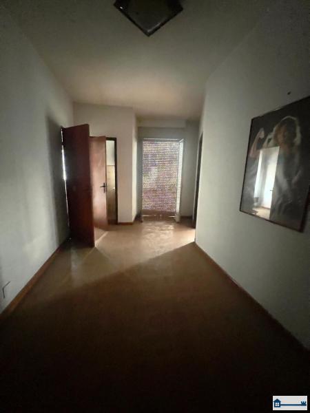 Immagine WhatsApp 2025-09-10 ore 18.10.51_c88f83fe.jpg